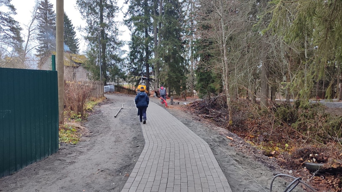    В парке в Приладожье появятся лестницы с перилами© Лахденпохский район / VK