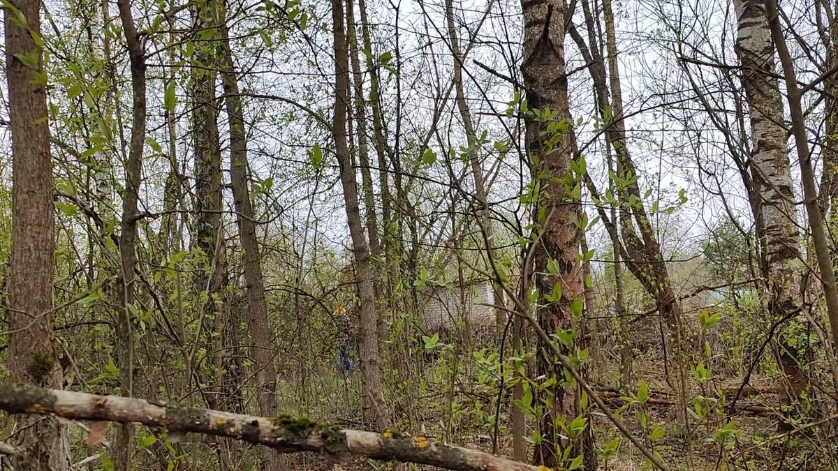 Вот так выглядел участок в момент его получения.