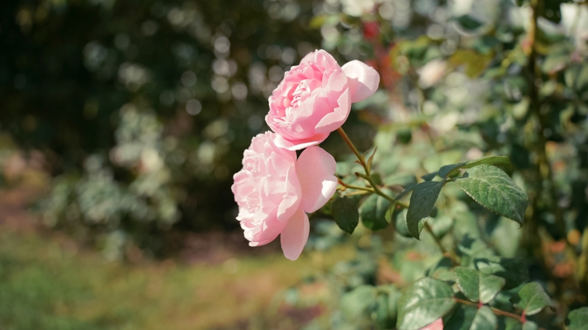 Светлана Мулыкина📷
