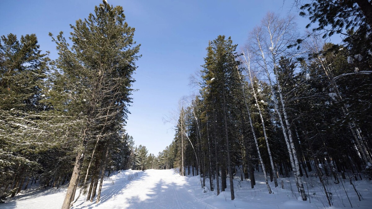    Фото: Сергей Зубков/«Ямал-Медиа»