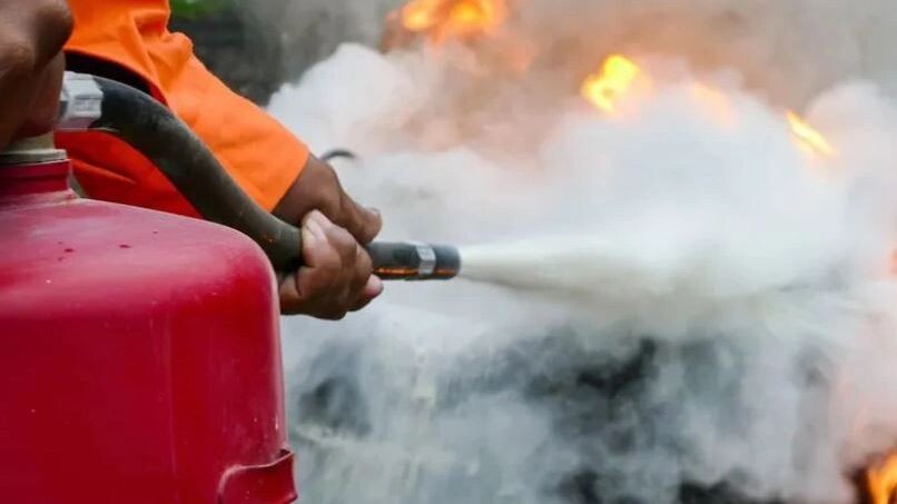    Фото: wonderisland/Shutterstock/Fotodom