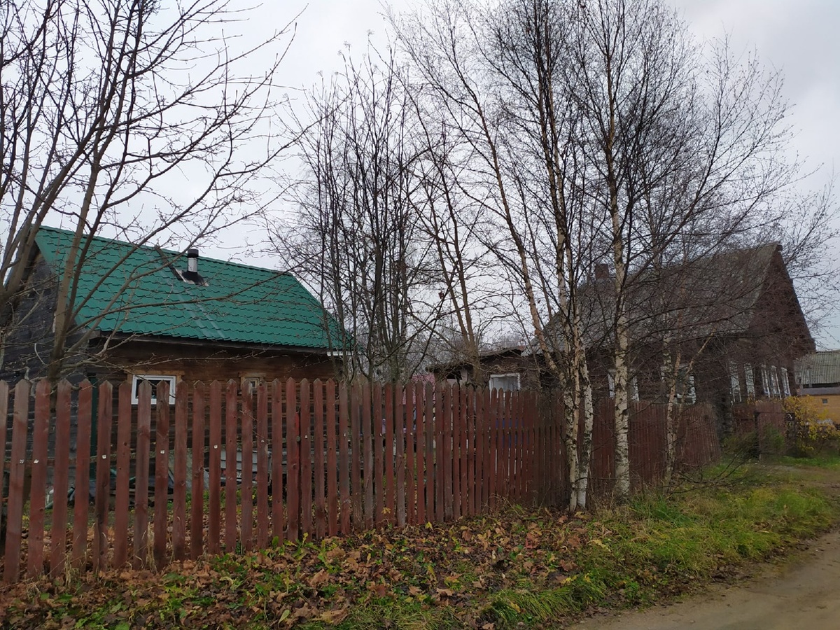    фото: © Столица на Онего