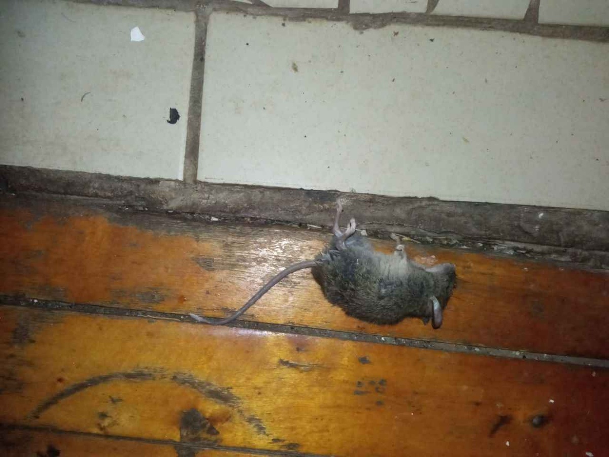    Фото: Пруфы