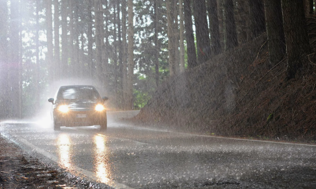 Фото из открытых источников 