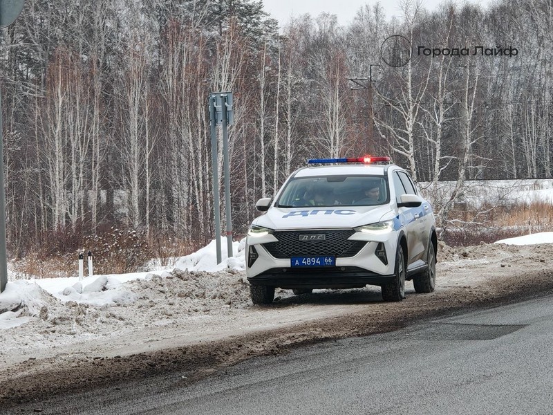     Фото: Города Лайф