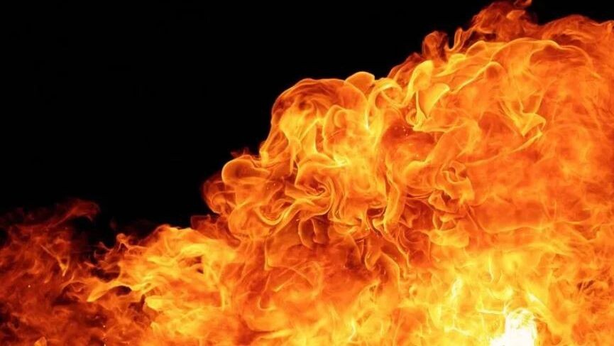    Фото: fluke samed/Shutterstock/Fotodom