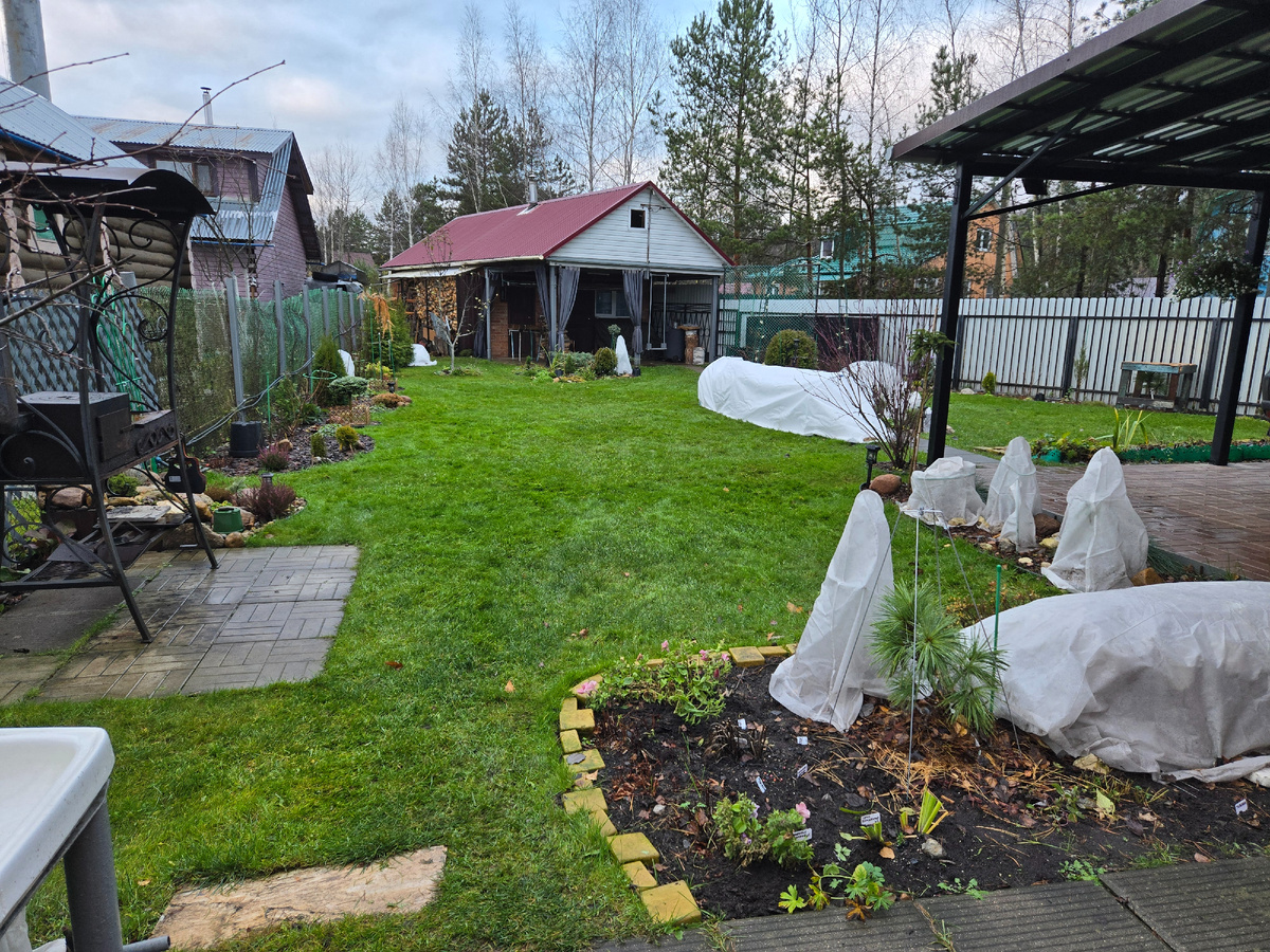 Установлены укрытия для роз