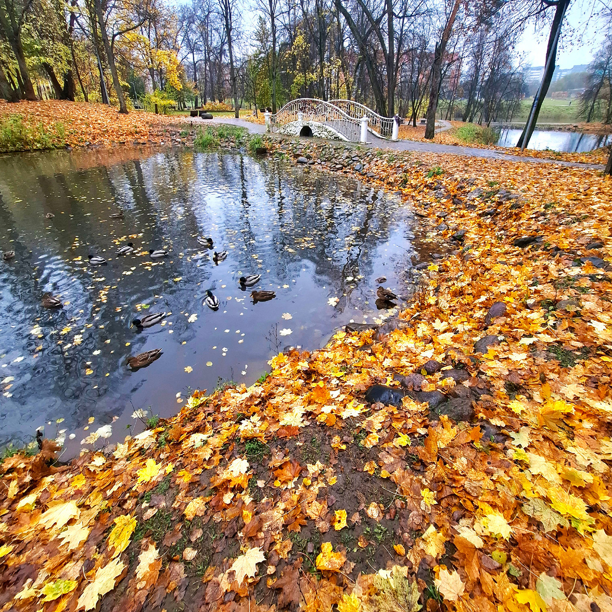 Каскад прудов в усадьбе Белкино. Фото автора. Октябрь 2025 года.