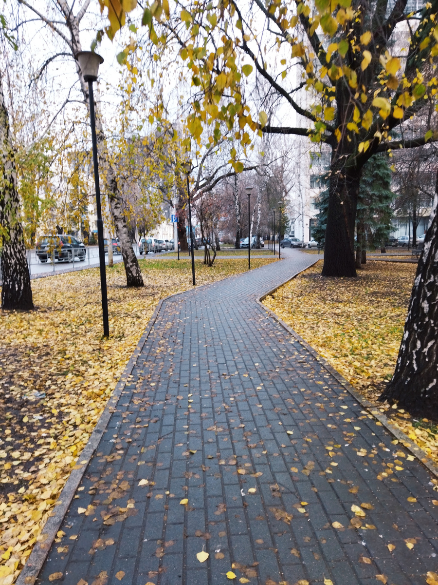 Фото автора