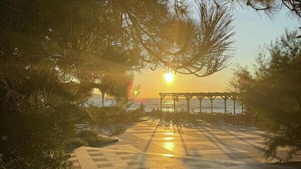    © Telegram-канал главы администрации Ялты Янины Павленко