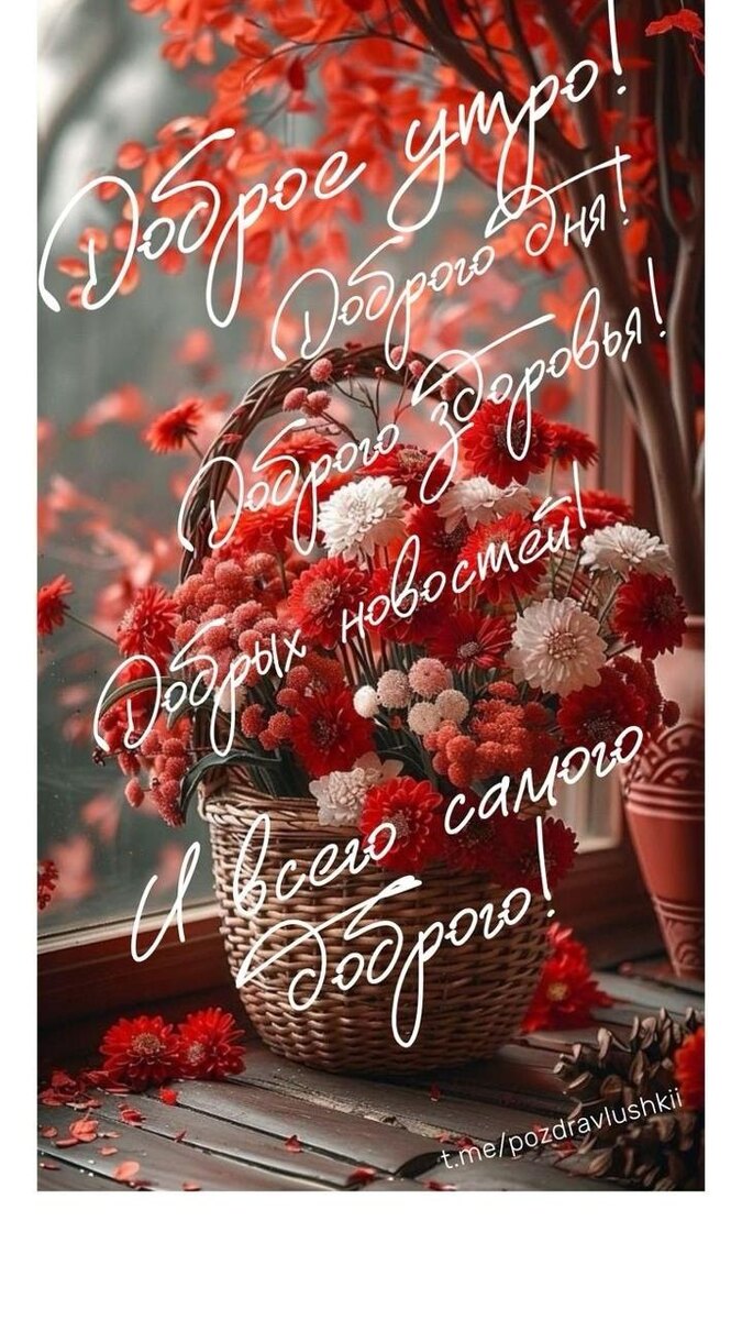 С просторов интернета 