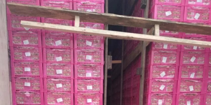 Фото: Уральское межрегиональное управление Россельхознадзора