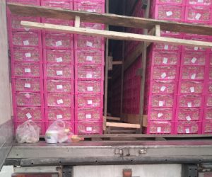 Фото: Уральское межрегиональное управление Россельхознадзора