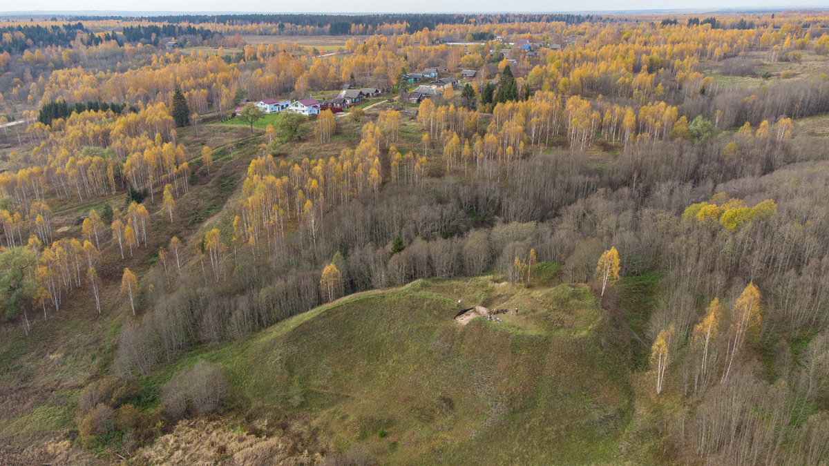 ТАЭ –2021. Тверская область, Молоковский район. Городище Анниково 1.
Общий вид на городище с квадрокоптера до начала работ. Вид с ЮЮВ
