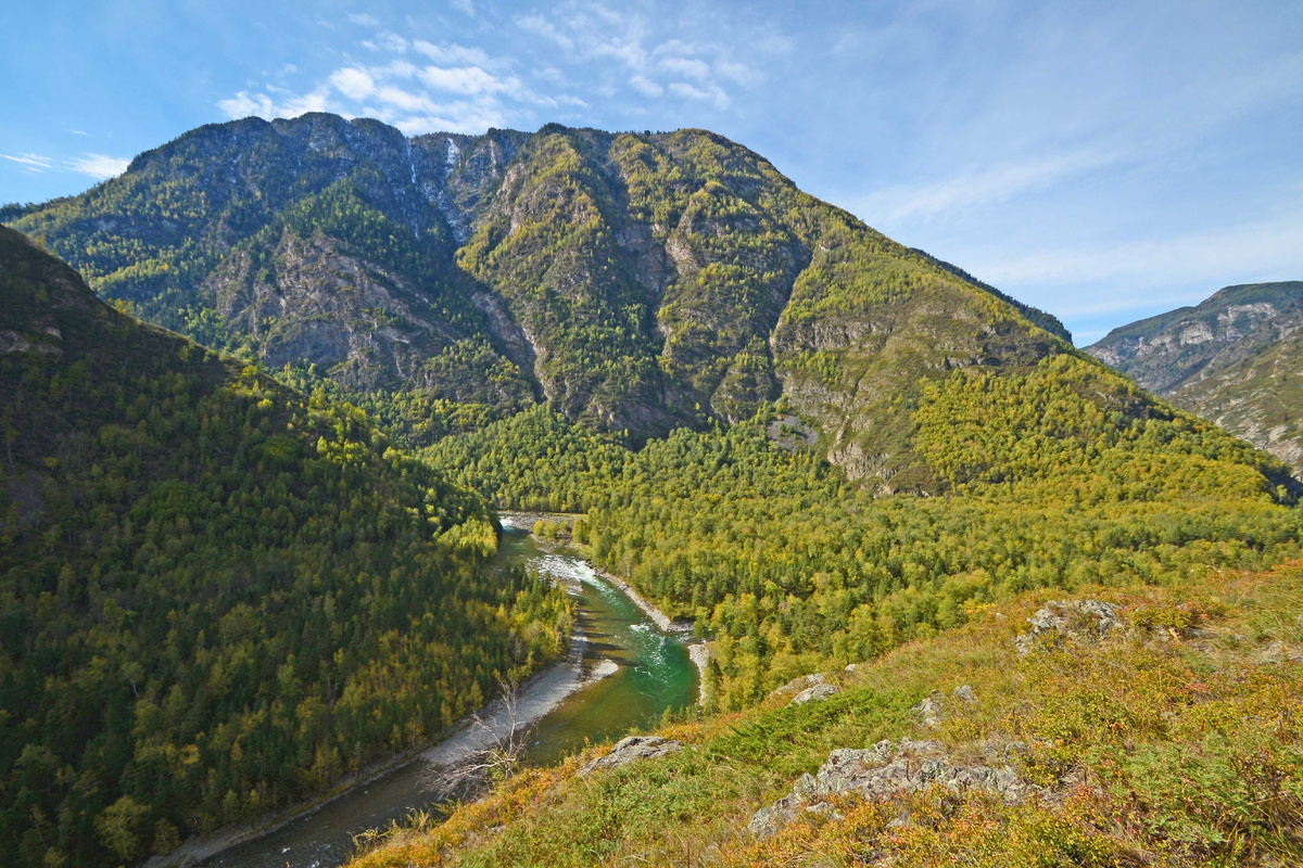 Фото Ольга Шадрина. Сентябрь 2015 г