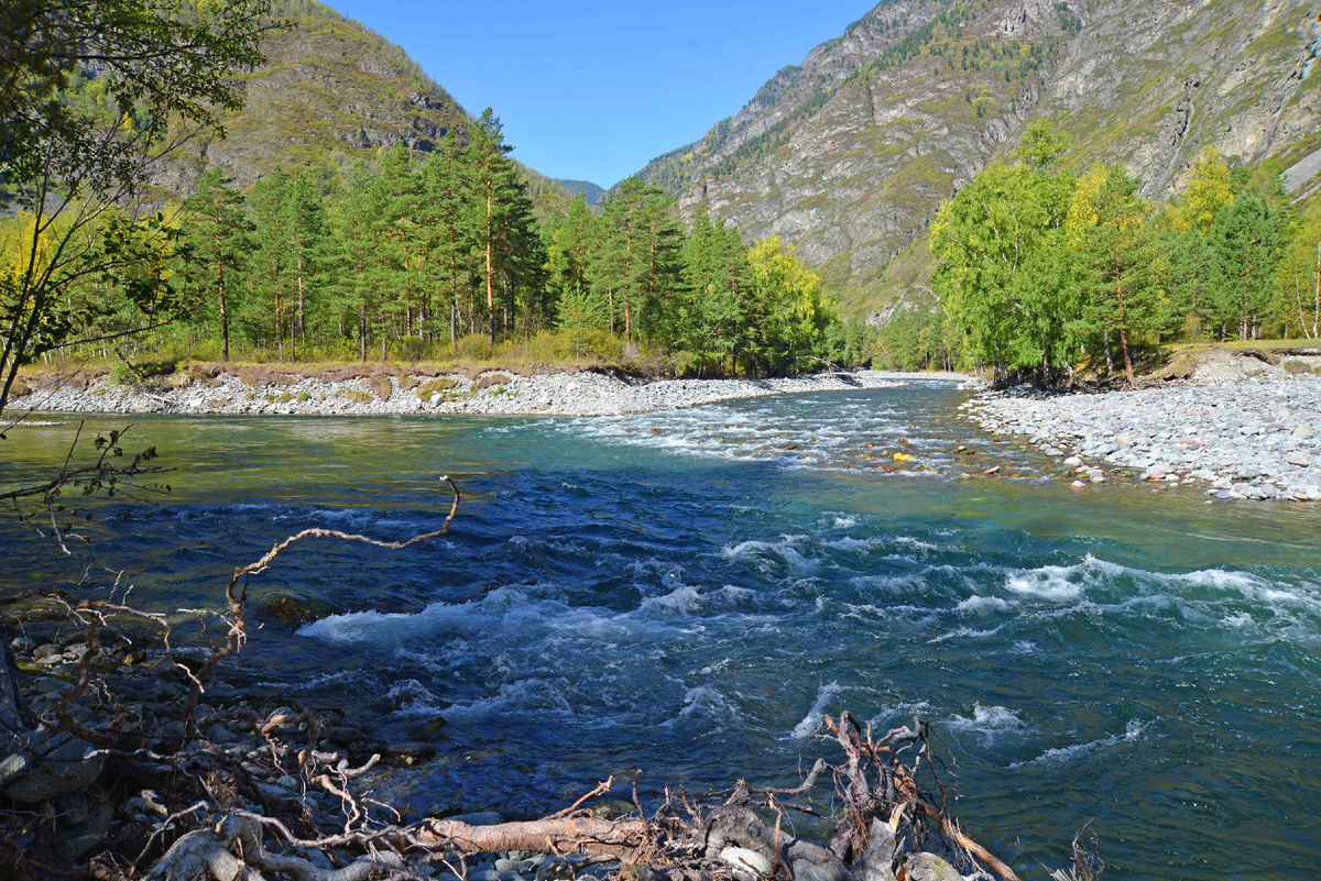 Фото Ольга Шадрина.  Сентябрь 2015 г