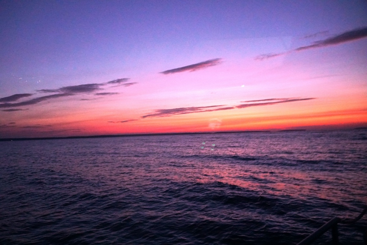    «Фактор Новости»