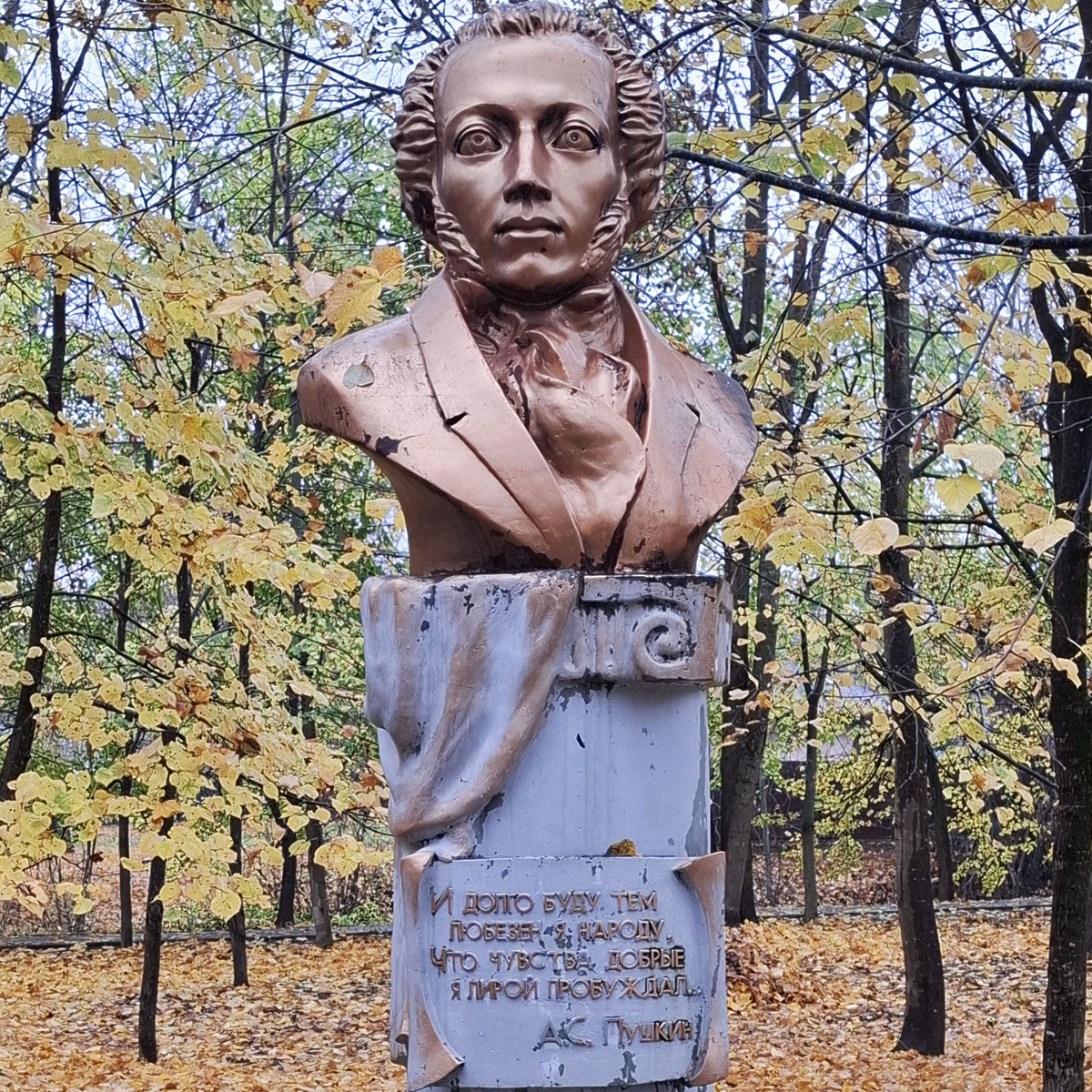 Обнинский Пушкин в фас. Фото автора.