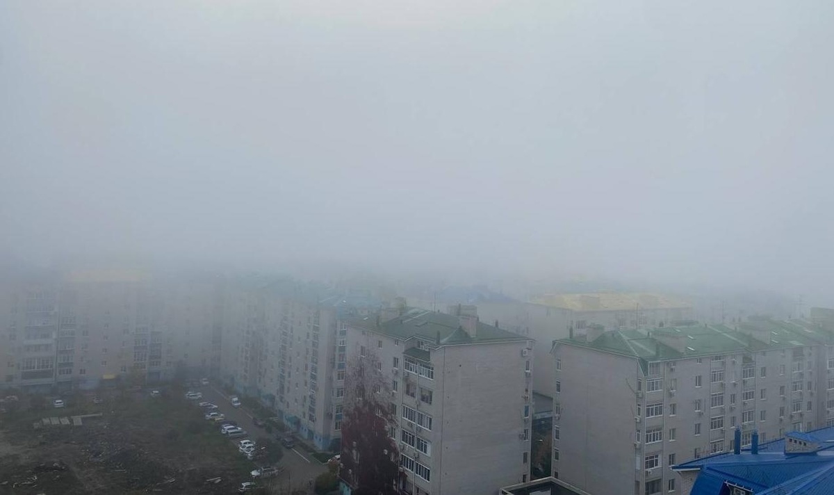    Фото «Кубань 24»