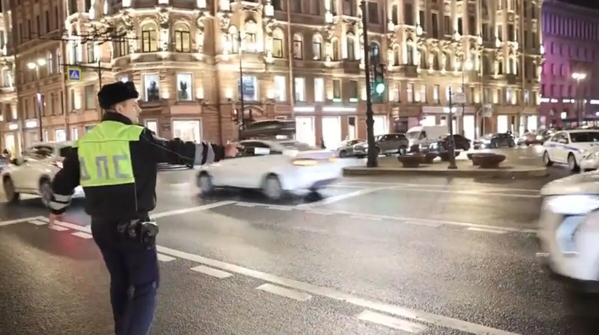    Фото: кадр видео ГУ МВД по Петербургу и Ленобласти