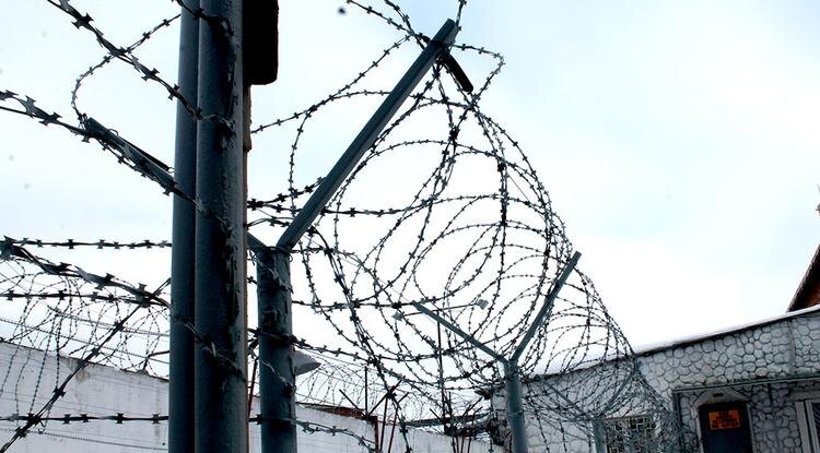 Фото: Алексей Стопичев (архив)