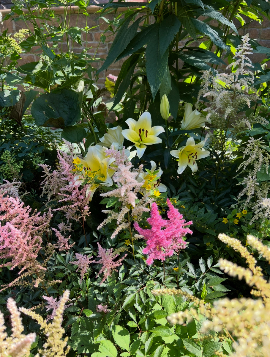 Фото автора. Вспомним лето. 