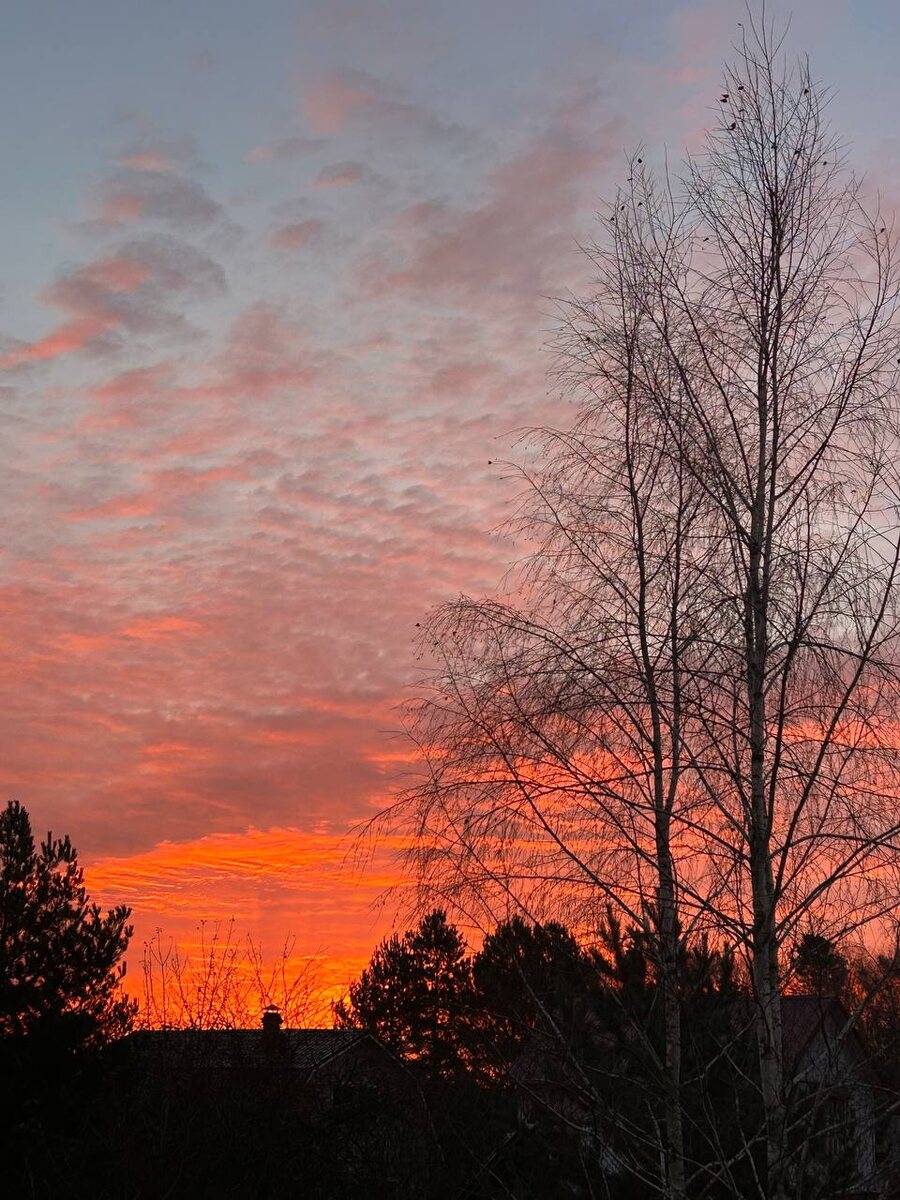 Рассвет сегодня 
