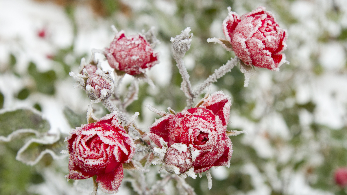 Изображение freepik