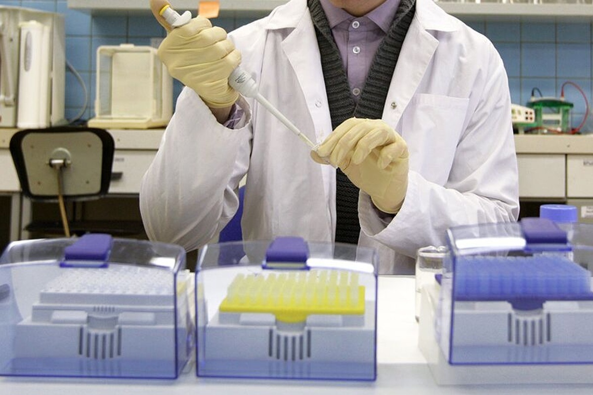    Фото: Валерий Мельников, источник: ria.ru