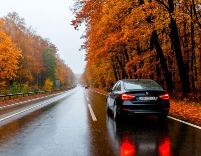 Иллюстрация: сгенерировано нейросетью
