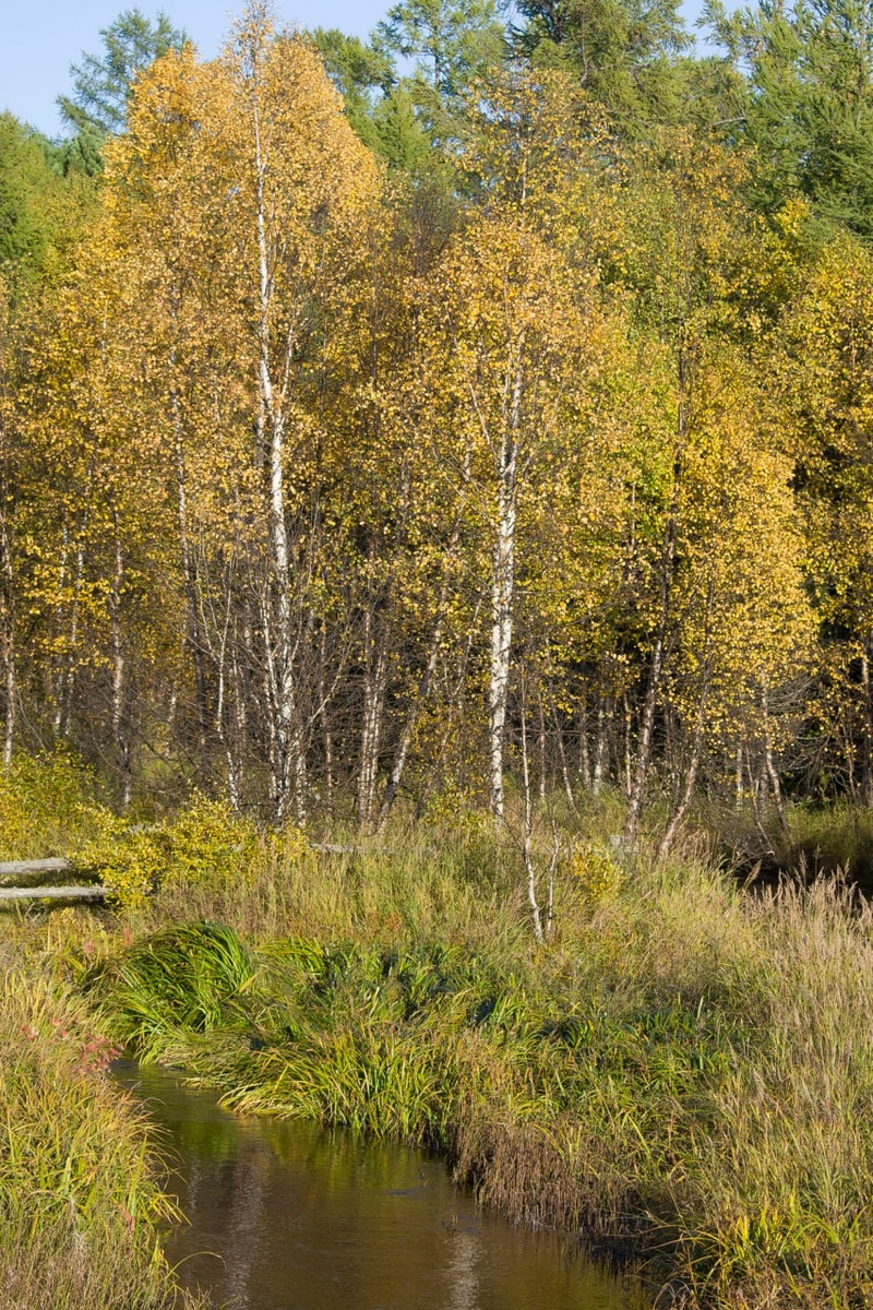 Листайте галерею👉🏻