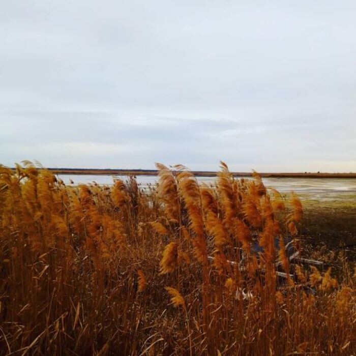 Иллюстрация: © «Панорама»