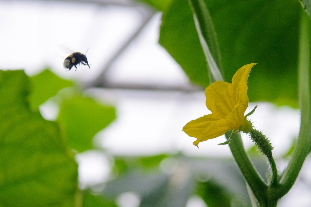 Фото: Алексей Бучнев / архив редакции