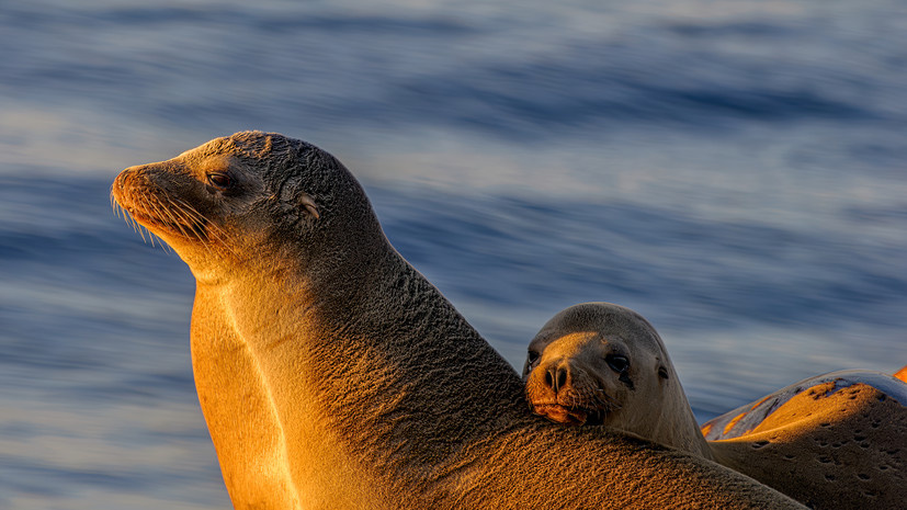   Gettyimages.ru Timothy Hewett / 500px