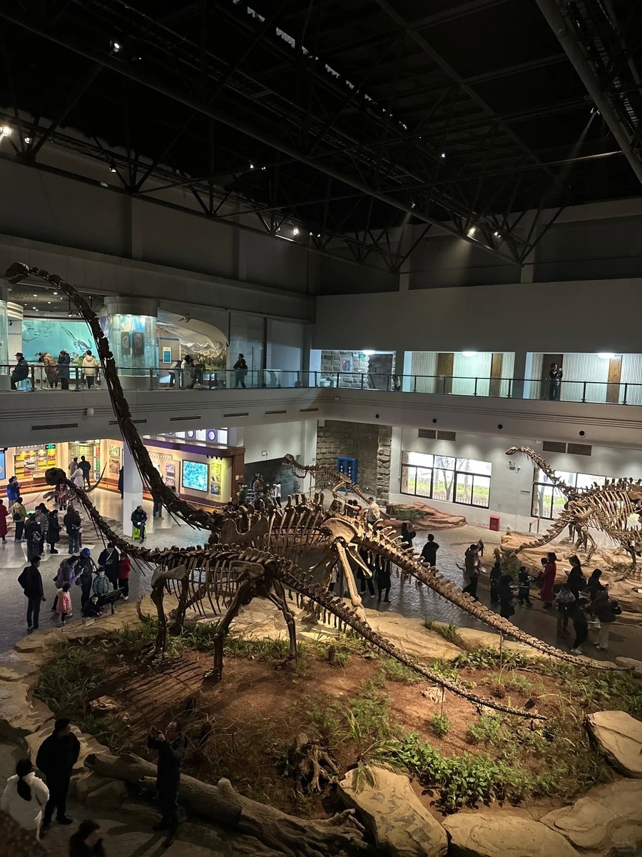 Музей динозавров Цзыгуна — один из крупнейших музеев динозавров в Азии, известный как «Восточный дворец драконов». В музее представлено множество окаменелостей динозавров, отражающих мир динозавров юрского периода, и является важным базисом для изучения эволюции динозавров.（自贡恐龙博物馆是亚洲最大的恐龙自然博物馆之一，被誉为“东方龙宫”。馆内收藏了大量恐龙化石，展示了侏罗纪时期的恐龙世界，是研究恐龙演化的重要基地。）