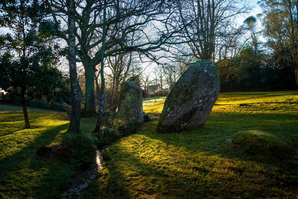 Изображение взято из общедоступных источников сети Интернет