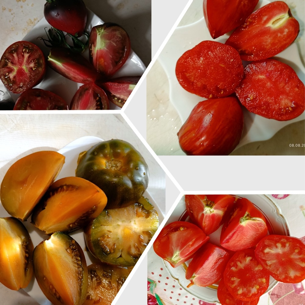 Коллаж для обложки