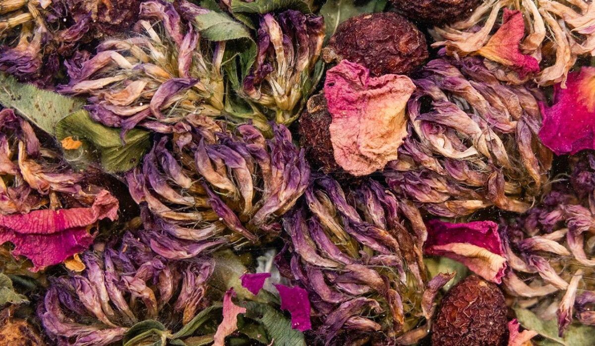     Чай. Источник: mos ru Автор фото: Пресс-служба Мэра и Правительства Москвы