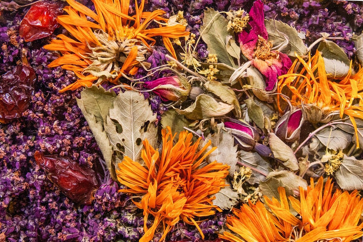    Чаи из Карелии и Сибири: богатство вкусов на московских ярмарках