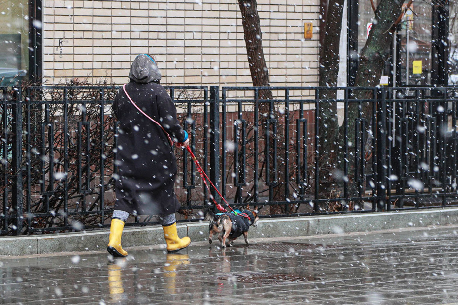    Сергей Булкин/NEWS.ru