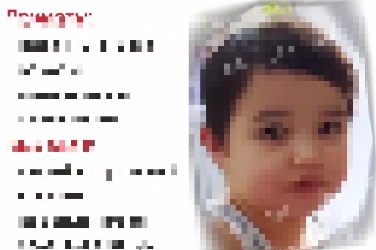    Ребёнка искали волонтёры из разных уголков России