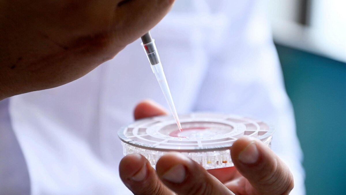    Фото: Cfoto/globallookpress.com