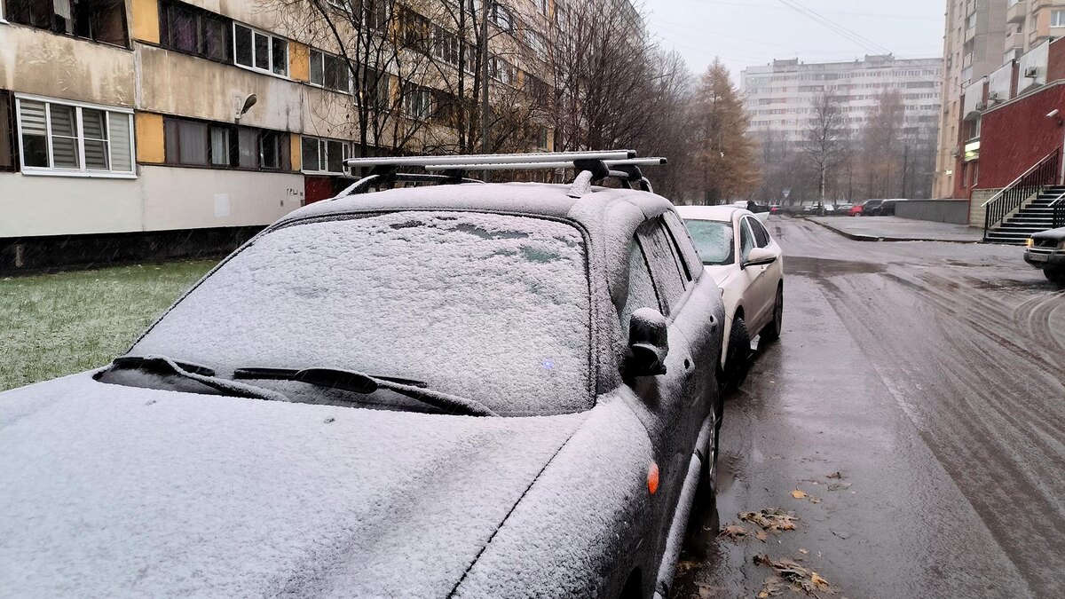    Фото: Maksim Konstantinov/globallookpress.com