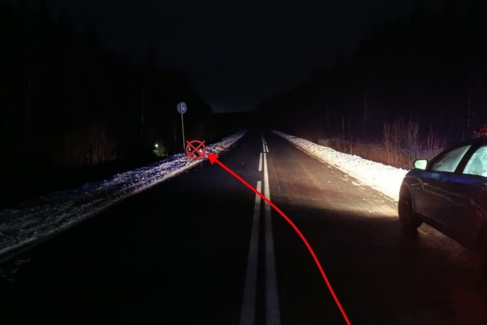    Фото: Госавтоинспекция Коми