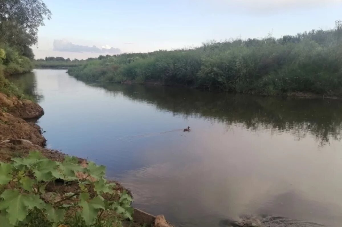    Подрядчик спустил в воду земснаряд для расчистки курской реки Тускарь