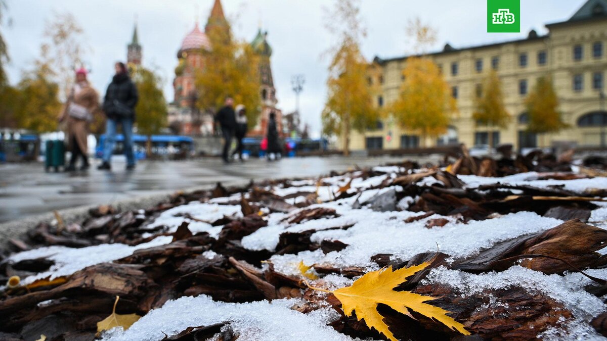    Фото: РИА Новости © 2025, Рамиль Ситдиков