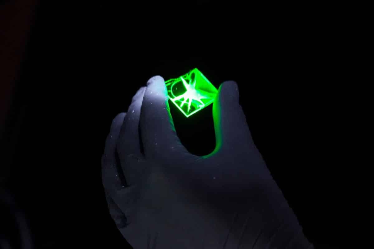    Люминесцентный нетканый материал, нанесенный на жесткую подложку / © Дмитрий Ковшов, Саратовский университет