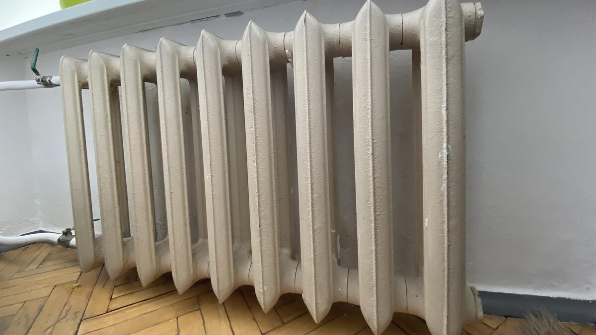    Фото: Ulf Mauder/globallookpress.com