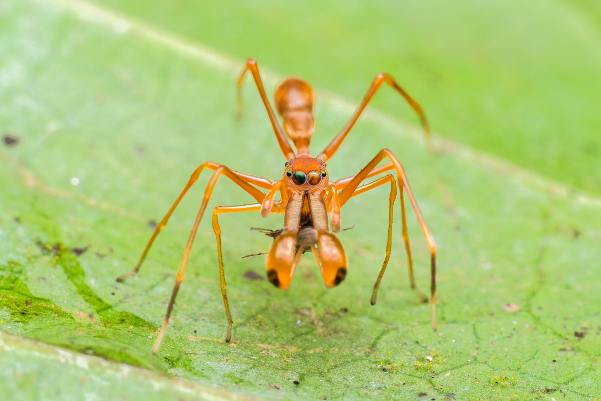 Фото из Интернета