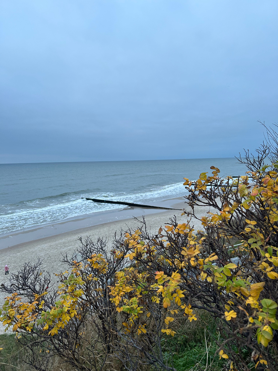 Побережье Зеленоградска, ноябрь 2025